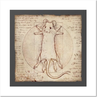 Vitruvian Mouse Posters and Art